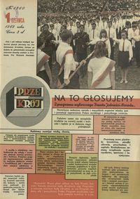 Na to głosujemy