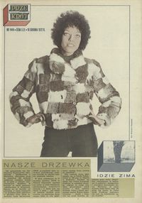 Nasze drzewka