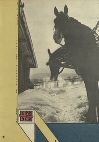 okładka numeru 1868/1981