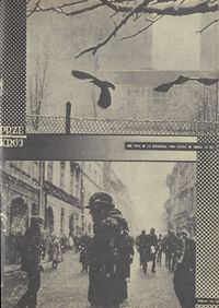 okładka numeru 1914/1981