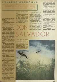 Don Salwador