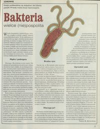 Bakteria wielce (nie)pospolita